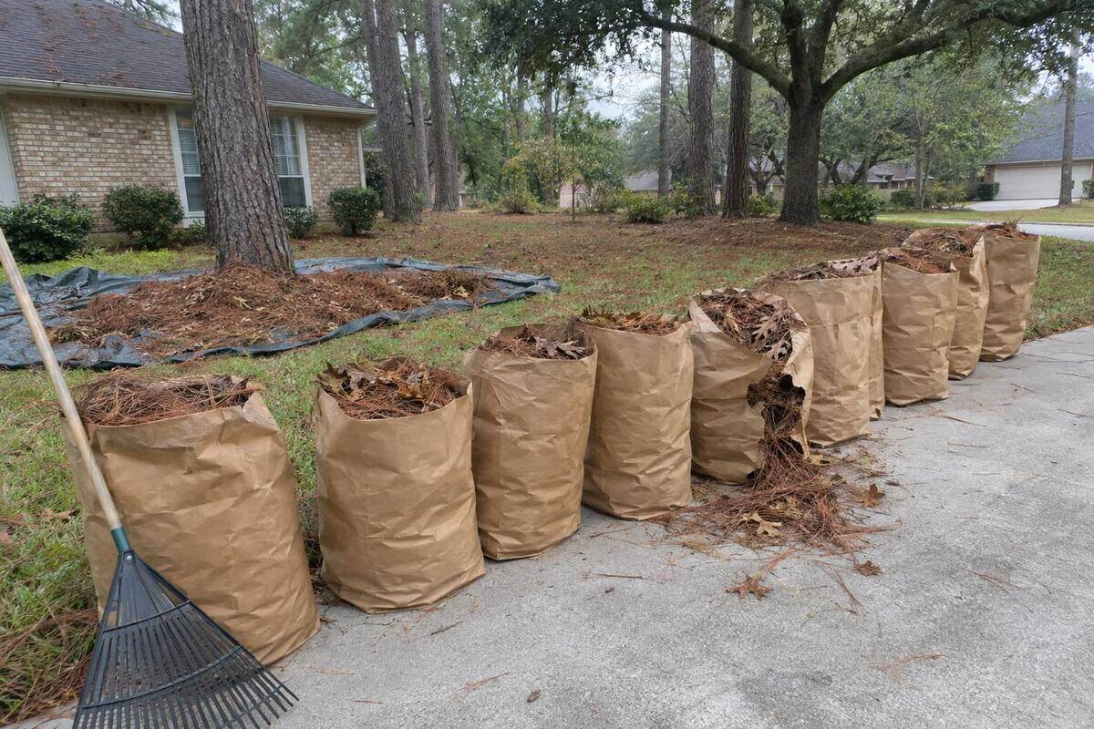 Brown paper yard bags full of pine needles and oak leaves lined up along the edge of a driveway